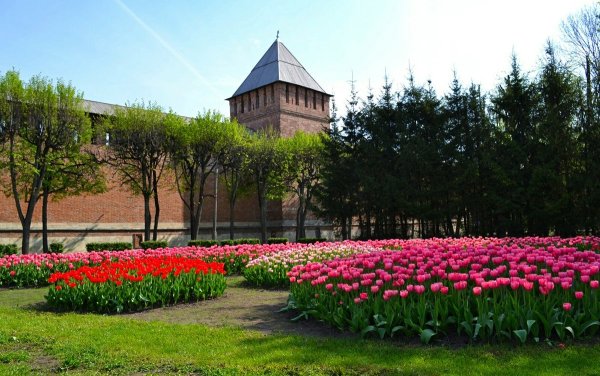 Парк в Смоленске летом