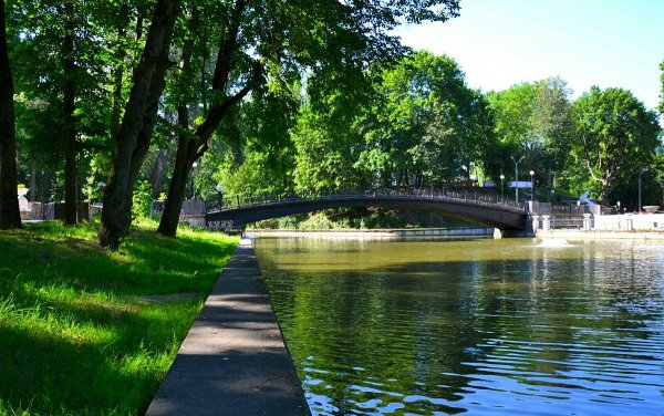 Лопатинский сад Смоленск