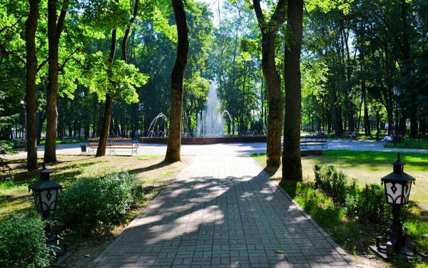 Лето в городе