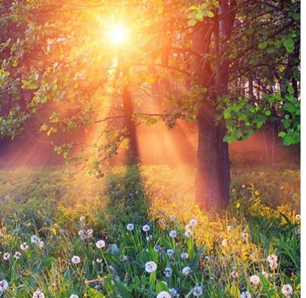 Теплое солнце