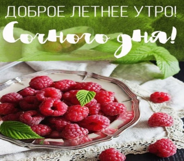 С добрым летним утром