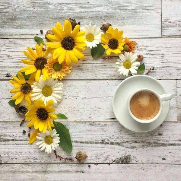 Пожелания с добрым летним утром