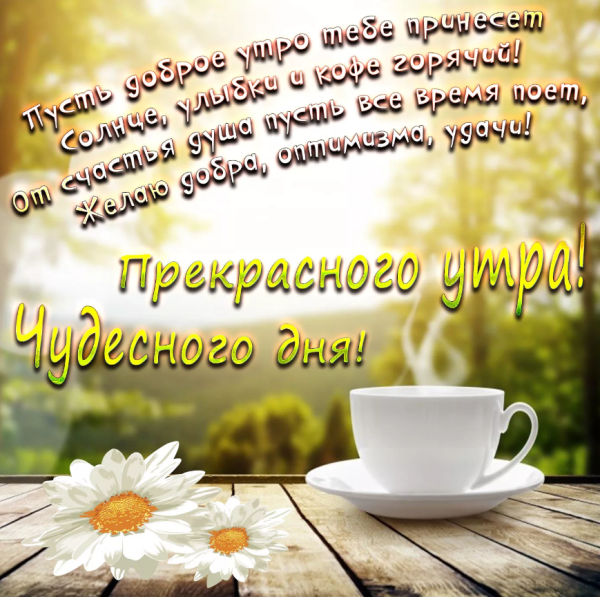 Доброе туманное утро