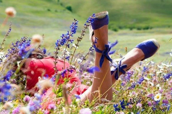 Луг с цветами и бабочками