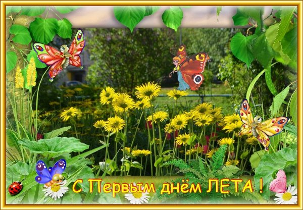 Вот и лето пришло фото