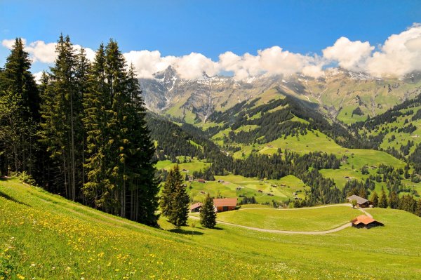 Альпийские Луга Швейцария