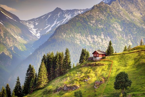 Альпийские Луга Швейцария Альпийские Луга Швейцария