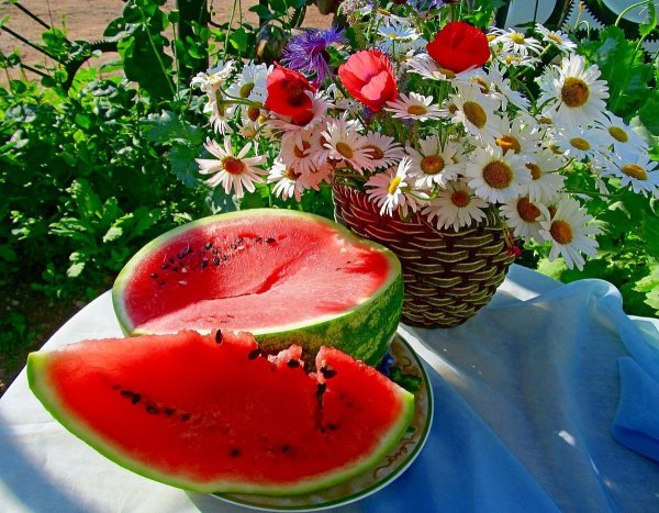 Море фрукты