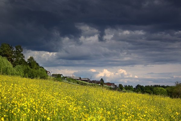 Тропинка в траве