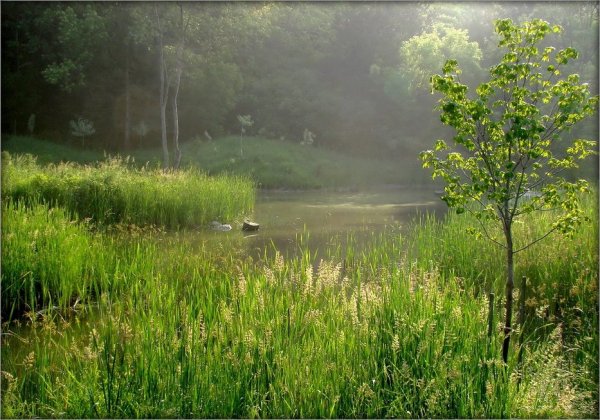 Василисино Наро-Фоминский район