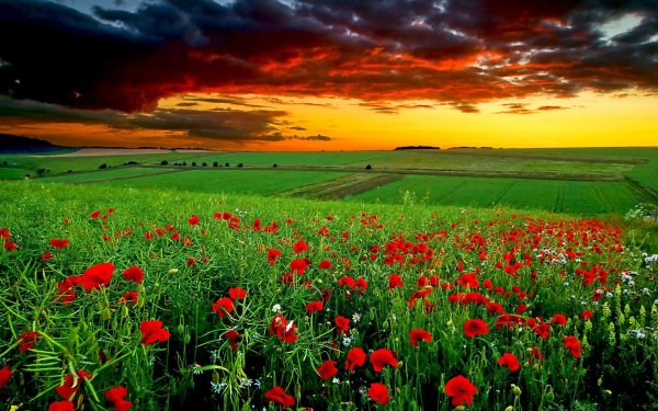 Коврик для мыши Buro bu-m10012