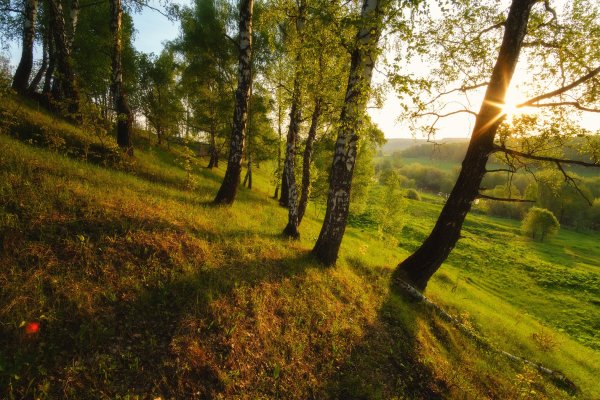 Зарайск природа