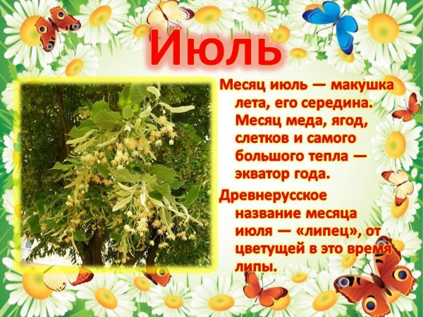 Летние месяцы для детского сада