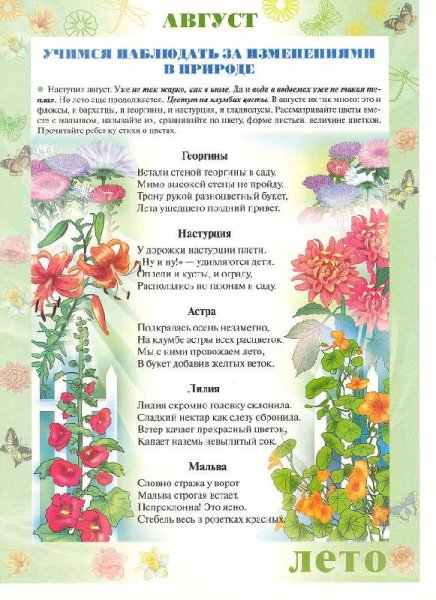 Наблюдения в природе летом