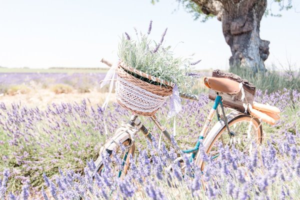 Природа в стиле Прованс