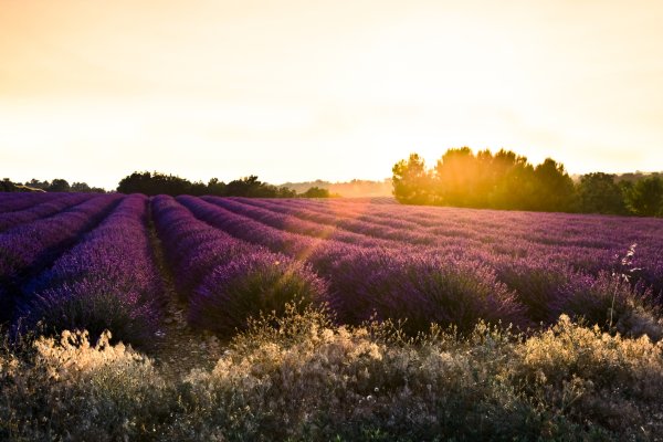 Прованс Франция
