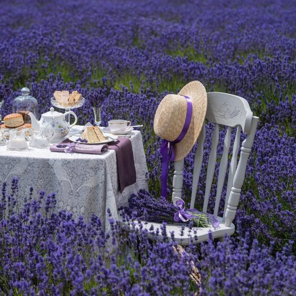 Чаепитие в стиле Прованс