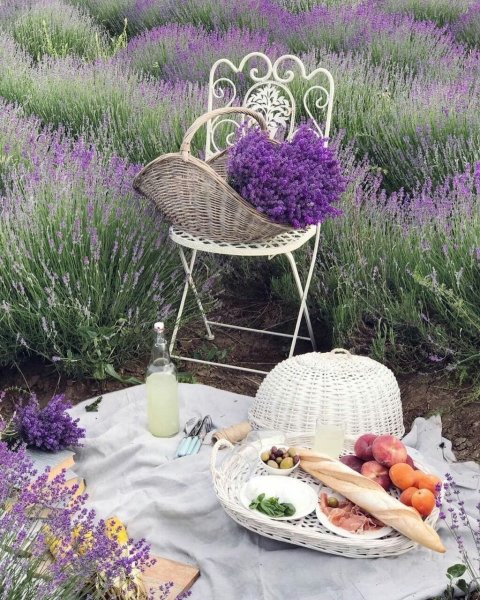 Летнее утро в Провансе