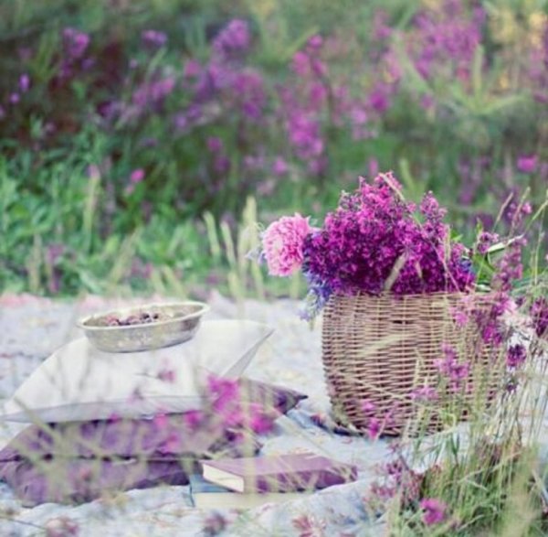 Аббатство Сенанк Прованс Франция