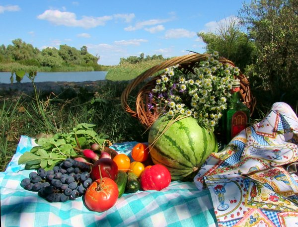 Фотоконкурс урожай осени