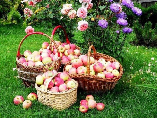 Лето август