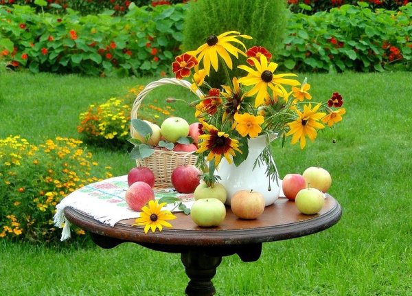 Дача цветы фрукты