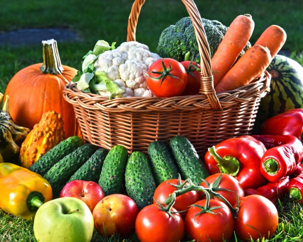 Урожай овощей и фруктов