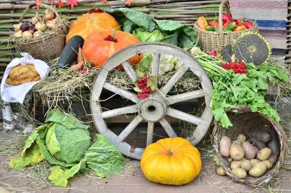 Телега с овощами