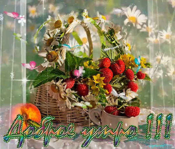 Чудесного летнего дня