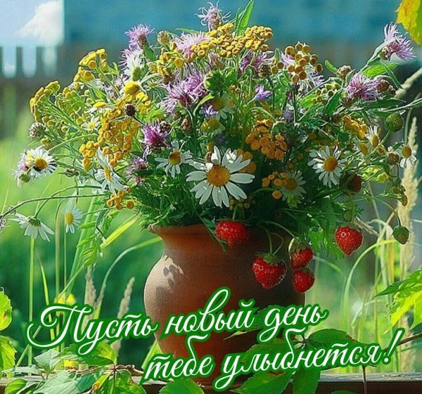 Доброго утра и хорошеготнастроения