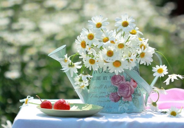 Чудесного летнего дня