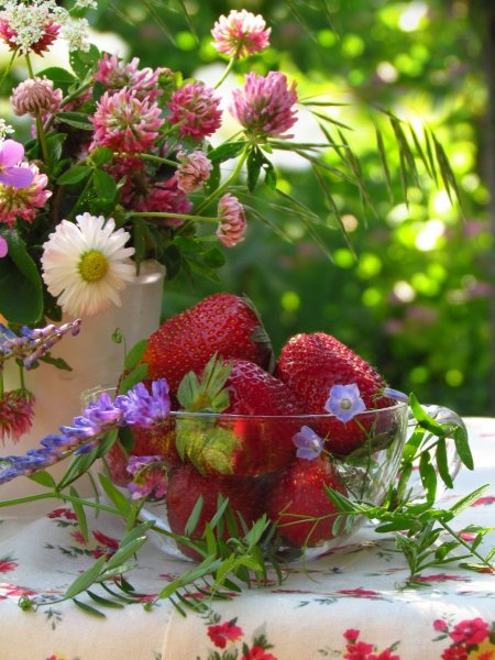 Летнее настроение