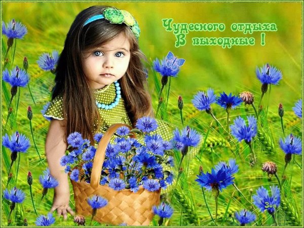 Пожелания доброго летнего утра и хорошего дня