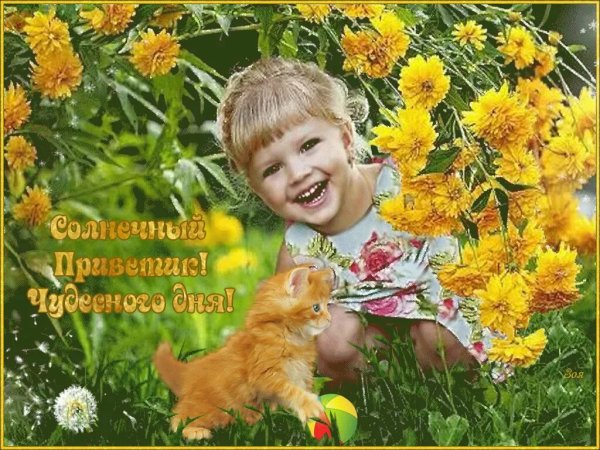 Прекрасного летнего дня