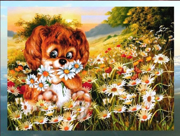 Открытки с воскресеньем