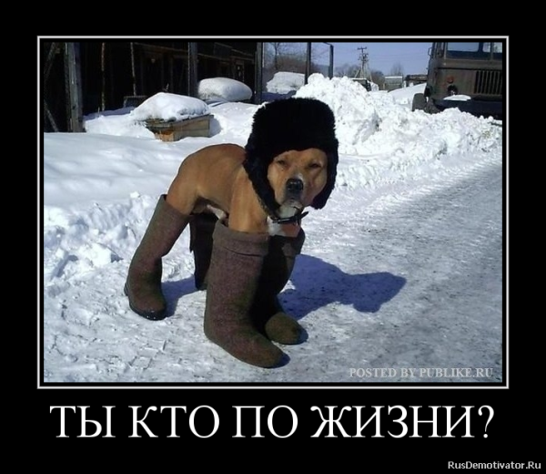 Дед Мороз военный прикол