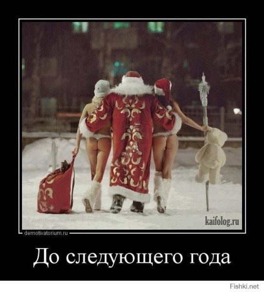 Кот в валенках