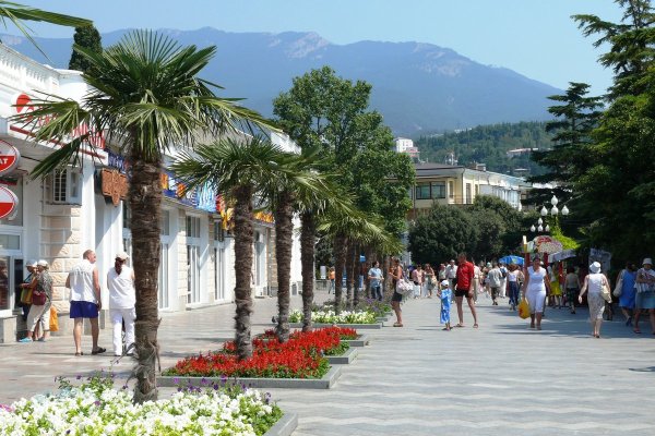 Пальмы в Ялте на набережной