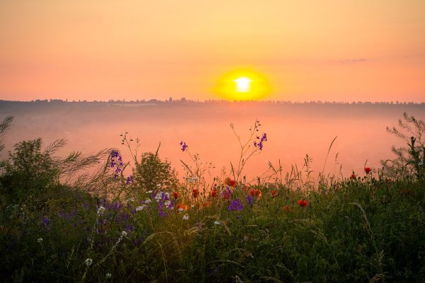 Природа солнце