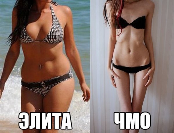 Не худые девушки