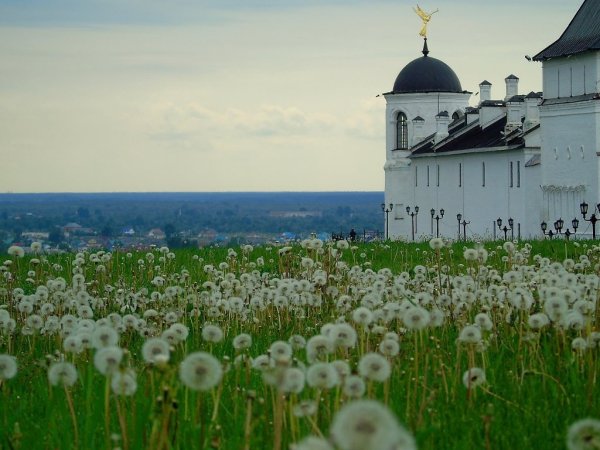 Тобольск природа