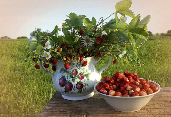 Июль макушка лета