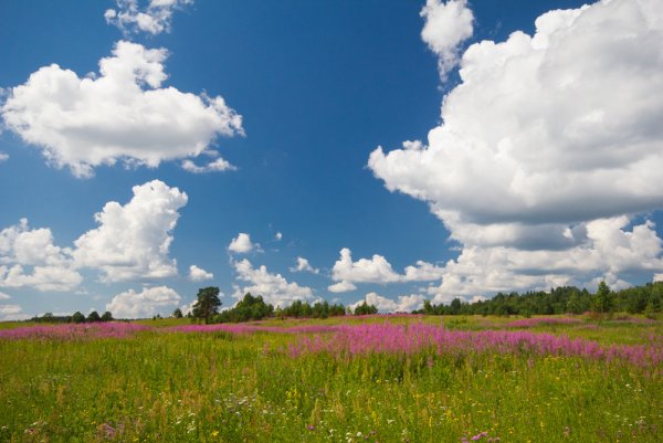 Твардовский июль