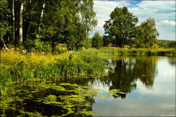 Июль в средней полосе