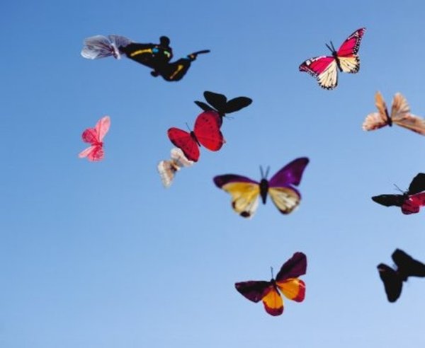 Стайка бабочек