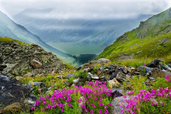 Архыз горы летом