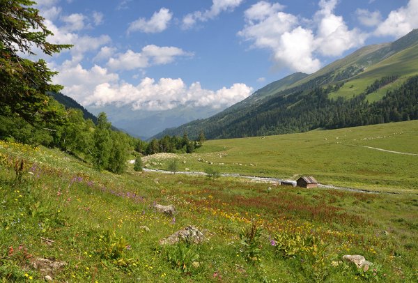 Фон горы Архыз