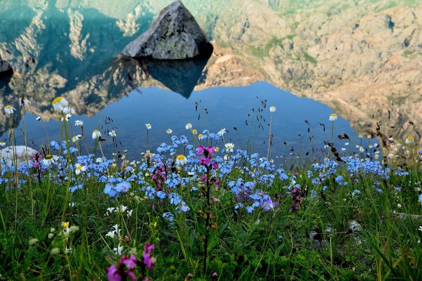 Софийская Долина Архыз
