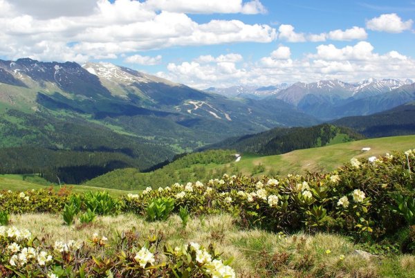 Поселок Архыз горы