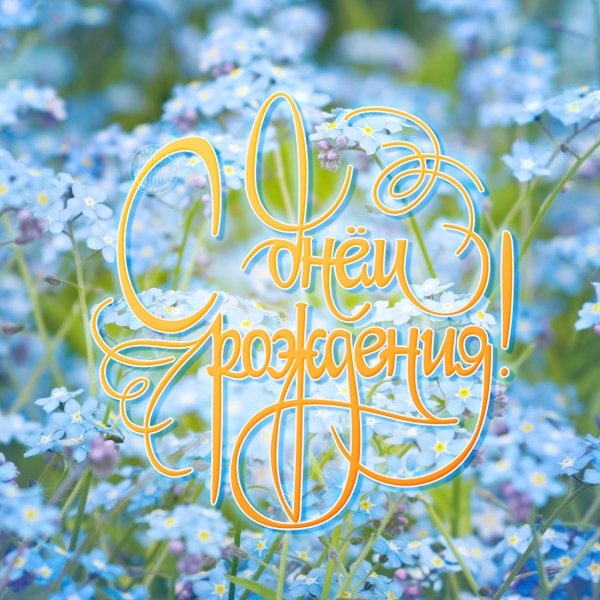 Половина лета надпись